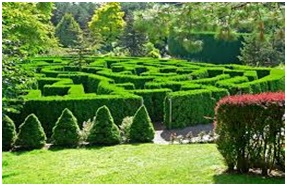 Royal Botanic Gardens