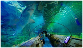 Sydney Aquarium